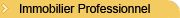 Immobilier Professionnel