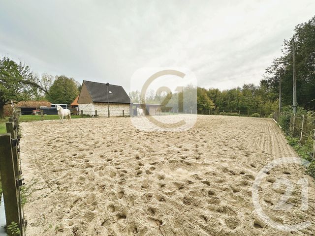 maison à vendre - 6 pièces - 210.0 m2 - LONGUEVILLE - 62 - NORD-PAS-DE-CALAIS - Century 21 Immopale